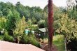 Vineyard-of-43-acres-with-old-farmhouse-of-320-m