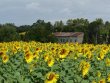 Domaine-oeno-tourism