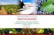LANGUEDOC-ROUSSILLON-vente-aux-encheres-publiques-dun-domaine-viticole-comprenant-batiments-dexploitation-parcelles-en-nature-de-vignes-terres-et-landes-deux-jardins-et-une-maison-dhabitation-avec-4-appartements