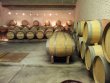 Winery-equipped