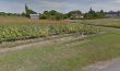 2ha-de-vignes-bien-situees-en-AOC-VOUVRAY-pres-de-TOURS