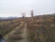 USA--Domaine-agricole-a-planter--445-acres