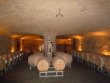 DOMAINE-VITICOLE-EN-BIO-ET-ACTIVITe-OENOTOURISTIQUE