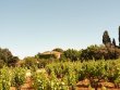BEAU-DOMAINE-VITICOLE-GITES-SALLE-DE-RECEPTION