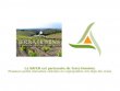 Devenir-proprieacutetaire-de-parts-dans-un-vignoble