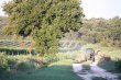 Un-domaine-unique-dans-le-sud-de-la-France