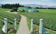 Domaine-vinicole-et-chais-en-Nouvelle-Zelande-