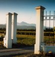 Domaine-vinicole-et-chais-en-Nouvelle-Zelande-