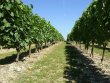 Propriete-de-10-ha-