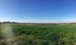 Vente-terre-agricole-pour-vigne-Bas-Armagnac