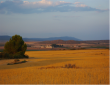 Vignoble-en-Espagne