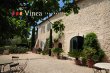 Oliveraie-dans-les-Alpilles