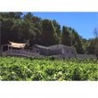 Domaine-Viticole-avec-permis-pour-cave-et-reception-clientelecaveau-de-degustation