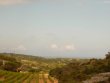 -Pretty-vineyard-in-AOP-Fitou-and-Muscat-de-Rivesaltes