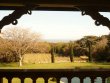 Superbe-domaine-de-vignes-en-culture-bio