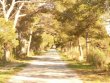 Superbe-domaine-de-vignes-en-culture-bio