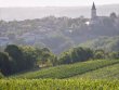 Domaine-viticole-Bio-de-135-ha-au-coeur-des-Causses-du-Quercy-proche-de-Cahors