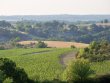 135-ha-organic-vineyard-at-the-heart-of-the-Causses-du-Quercy-near-Cahors