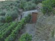 Vente-vignoble-au-Portugal