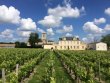Propriete-viticole--AOC-Medoc-1-ha-