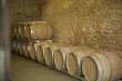 Propriete-viticole--AOC-Medoc-1-ha-