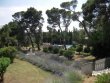 Beau-domaine-agrotouristique-et-viticole-en-AOP-de-49-ha