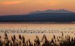 Beau-domaine-viticole-proche-de-la-mer