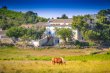 Beau-domaine-viticole-et-agro-touristique-de-236-ha-en-AOP-et-IGP