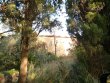 Bio-vignoble-a-vendre-dans-lHerault-en-minervois-et-minervois-la-liviniere