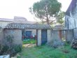 Domaine-viticole-possedant-une-belle-renommee-en-culture-biologique-et-biodynamie