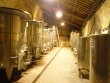 Domaine-viticole-possedant-une-belle-renommee-en-culture-biologique-et-biodynamie