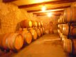 Domaine-viticole-possedant-une-belle-renommee-en-culture-biologique-et-biodynamie