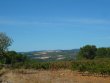 Domaine-viticole-AOP-de-20-ha-83-de-vignes-maison-dhabitation-avec-cave-vinaire-circuit-commercial