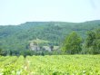 Beau-domaine-viticole-ideal-agrotourisme