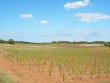 Wine-estate-close-to-Saint-Chinian