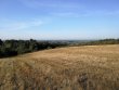 Maine-et-Loire-2ha-de-terres-AOP-Bonnezeaux
