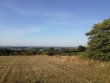 Maine-et-Loire-2ha-de-terres-AOP-Bonnezeaux