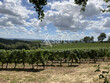 668-ha-de-vignes-en-AOC-Saint-Mont