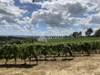 668-ha-de-vignes-en-AOC-Saint-Mont