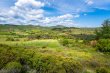 PROPRIETE-VITICOLE-ET-ARBORICOLE-DE-64-HECTARES-DANS-LE-SAINT-CHINIAN