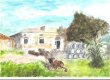 -offre-fermage-location-vignoble-bio-en-Perigord