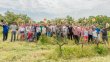 Financement-participatif-dans-les-vignobles-bordelais