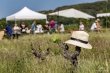 Des-vignobles-en-copropriete-pour-aider-les-jeunes-vignerons-a-sinstaller