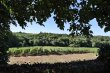 Propriete-viticole-a-30-minutes-de-Bordeaux