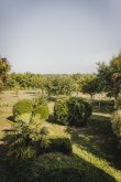 104-acre-Wine-Estate-South-of-Bordeaux--high-yields-and-diversification
