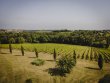 104-acre-Wine-Estate-South-of-Bordeaux--high-yields-and-diversification