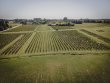 42-acre-Wine-Estate-in-the-Graves-appelions-just-South-of-Bordeaux