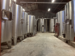 Propriete-viticole-de-23-ha-en-AOP-Bordeaux-dun-seul-tenant