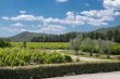 Appellation-Cotes-de-Provence-propriete-viticole-de-40-ha-avec-belle-rentabilite