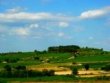 Vente-dun-lot-de-84-hectares-de-vignes-en-AOP-duche-dUzes